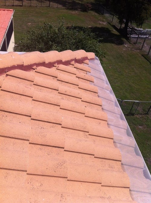 image-1-bird-proofing